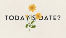 Today Date Calendar Calculator