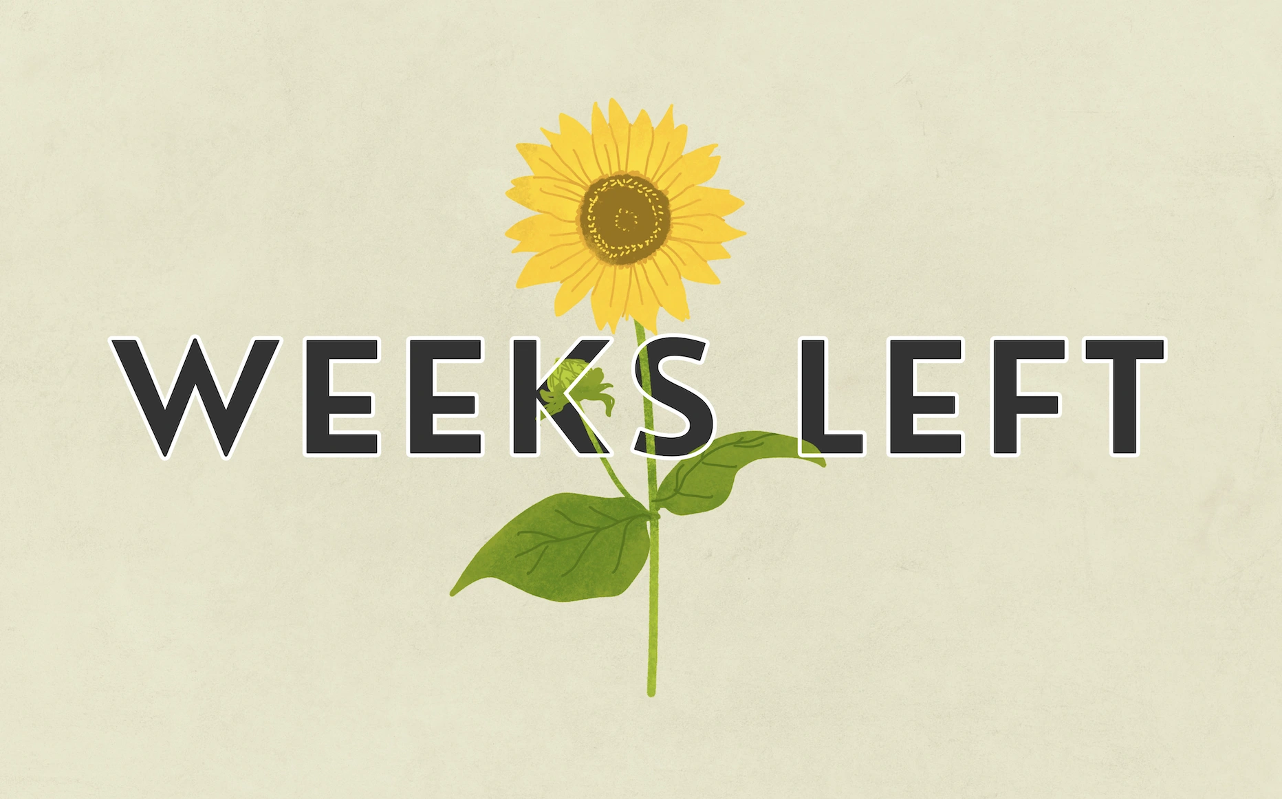 how-many-weeks-left-in-the-year-weeks-left-table-2025