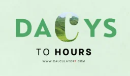 day to hour converter