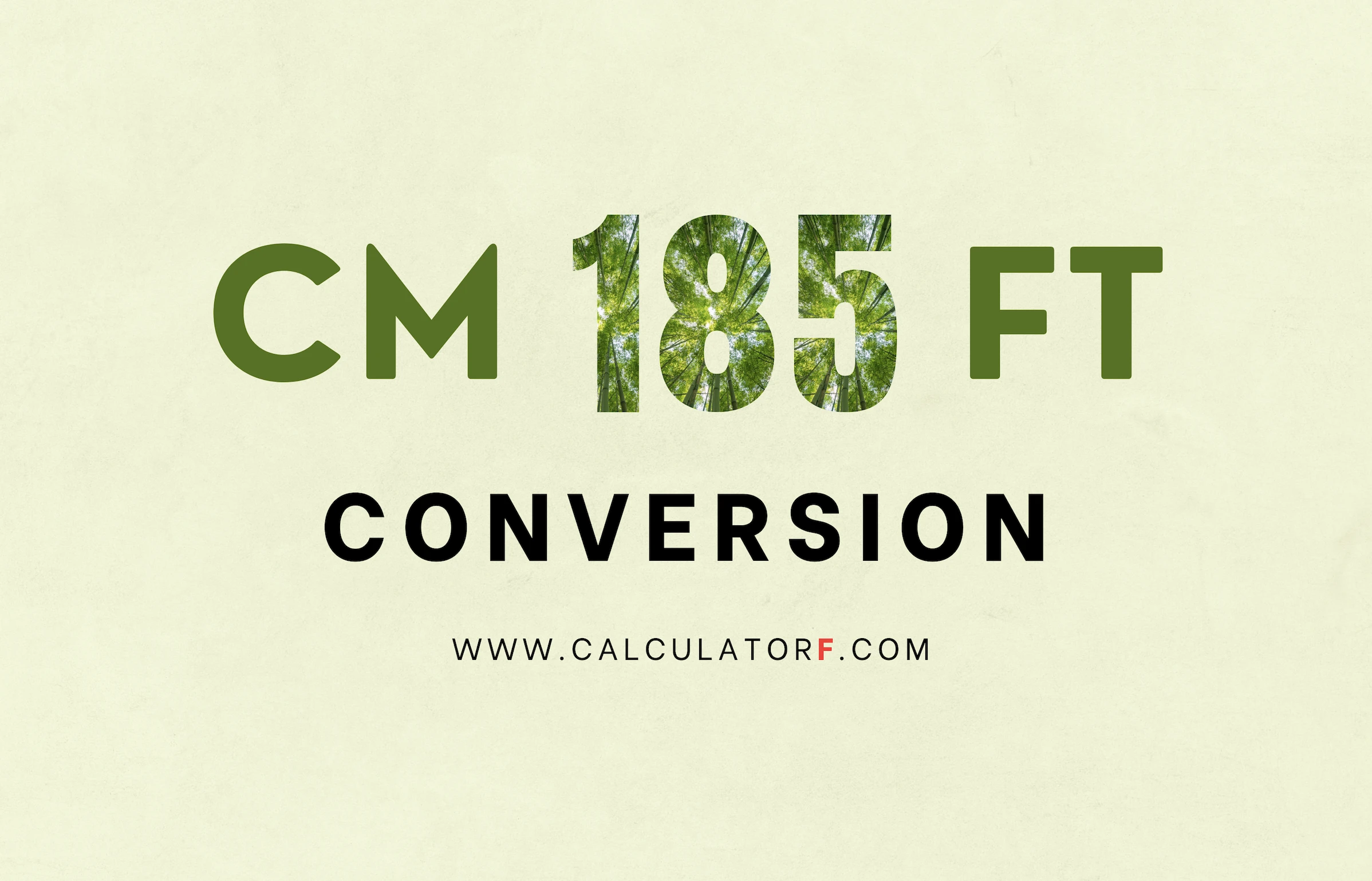 185 Cm to Feet | Convert Centimeters to Feet & Inches
