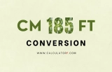 185 Cm to Feet | Convert Centimeters to Feet & Inches